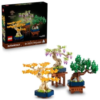 Lego Botanicals Mini Bogontai Plantas de interior